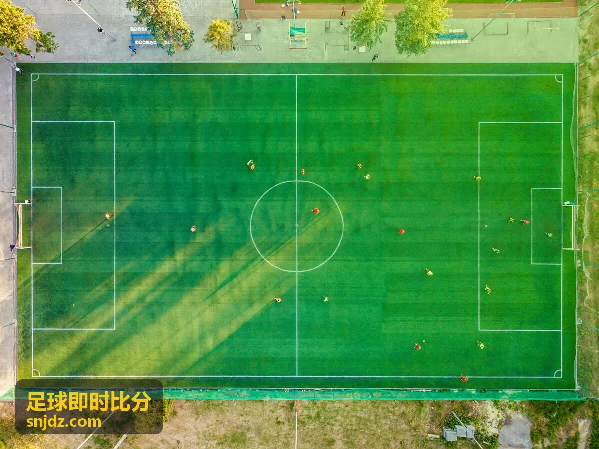 足球即时比分 客队